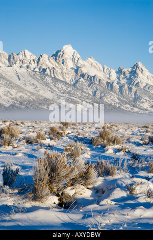 Tetons with first light in the valley with snow, Grand Teton National Park, Wyoming, United States of America, North America Stock Photo