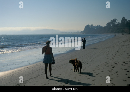 is butterfly beach dog friendly