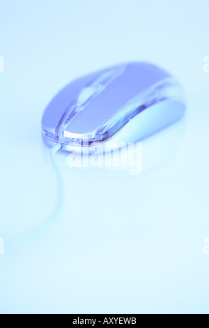 Computer Mouse Stock Photo