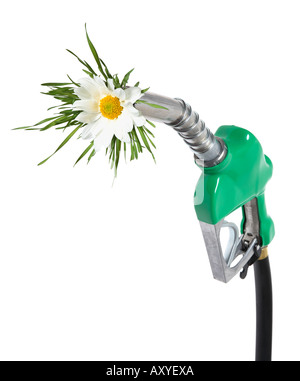 Flowers and Grass coming out of Gas Nozzle. Stock Photo