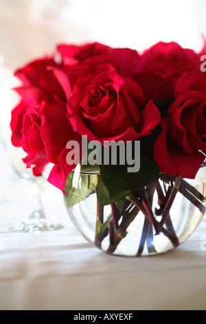 Roses in Vase Stock Photo