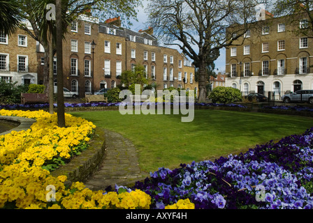 Canonbury Square gardens London N1 Georgian four story and basement terrace houses  London borough of Islington 2008 2000s UK HOMER SYKES. Stock Photo