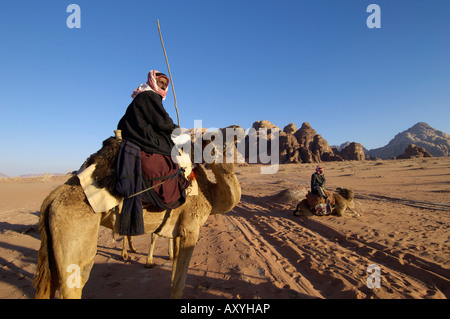 Bedouin on camels in the desert, Wadi Rum, Jordan, Middle East Stock Photo