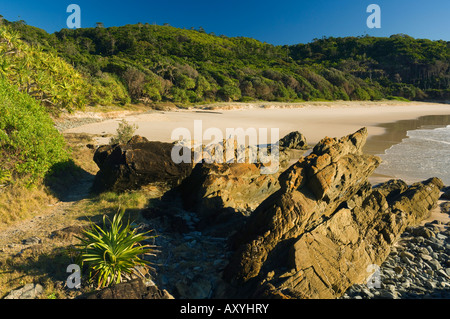 Kings Beach, Broken Head National Reserve, Byron Bay, New South Wales, Australia, Pacific Stock Photo