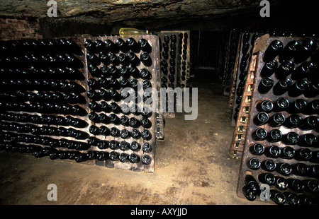 Alt Pened s the cellars of the bodega of Freixenet Stock Photo