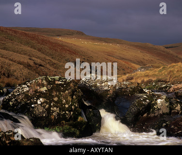 River Coquet runs through the Cheviot Hills in Northumberland National Park, England Stock Photo