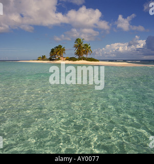 View looking over shallow sea to idyllic typical dream style tropical island with palm trees Sandy Island Anguilla The Caribbean Stock Photo
