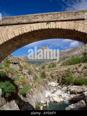 The Ponte a'Ltu over the River Golo, near Albertacce, Le Niolo, Haute Corse, Corsica, France. Stock Photo