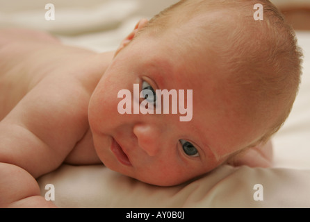 7 week old baby Stock Photo