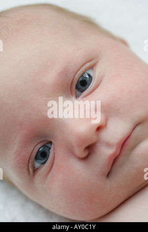 8 week old baby Stock Photo