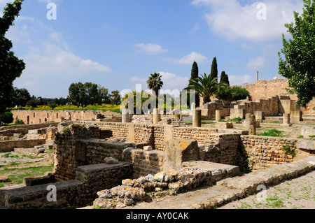Roman Villas, Carthage Tunisia Stock Photo