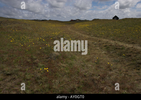 Wooden huts at Blakeney Point, Norfolk Stock Photo 