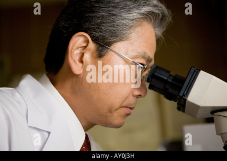 Doctor using microscope Stock Photo