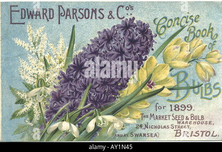 Edward Parsons & Co's Bulb Catalogue 1899 Stock Photo