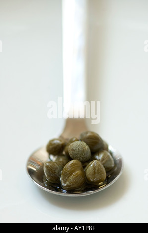 A spoonful of Nonpareille capers Stock Photo