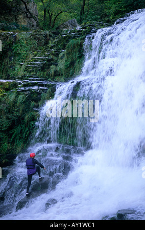 A gorge walker climbing to get behind the Sgwd Isaf Clun Gwyn waterfall in the Brecon Beacons Wales UK Stock Photo