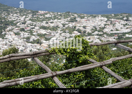 An elevated view of the Capri on the Isle of Capri in the Bay of Naples in Italy taken from the Cable Car Stock Photo