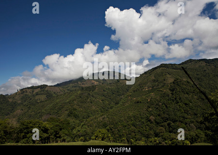 Hillside coffee plantations in Costa Rica. Stock Photo