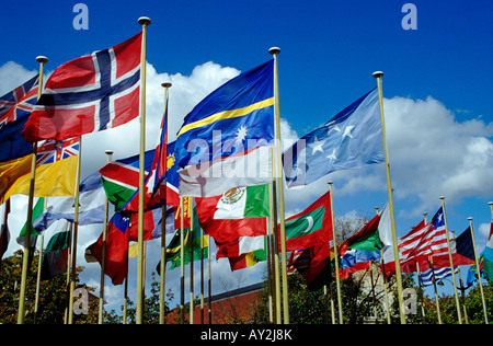 Flags from member countries During the General Conference at UNESCO Paris France Stock Photo