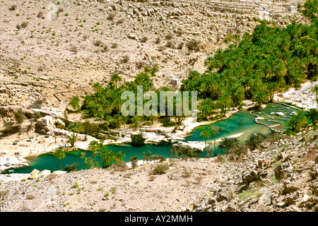 Date palms and rock pools of Wadi Bani Khalid in the Eastern Hajar mountains of Oman. Stock Photo