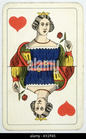 Queen Of Hearts Rose Stock Photo