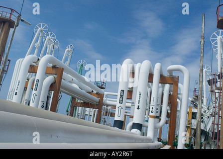 An system of ducts carries refined hydrocarbons to tankers and also receives incoming crude oil at Pemex Pajaritos complex Stock Photo