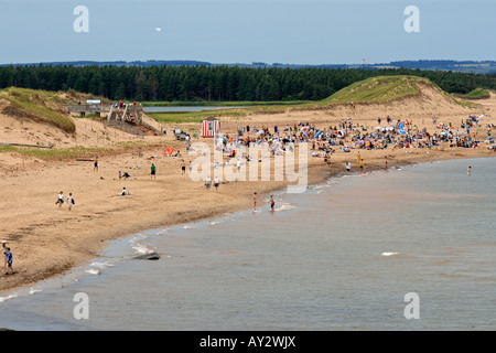 a scenic aerial view of Cavendish Beach in PEI, Prince Edward Island, Canada Stock Photo