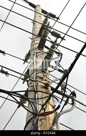 Single electrical transformer on wood telephone pole showing electric ...