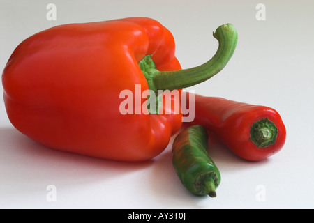 Close up of raw Red Pepper with Red & Green Chillies against a white background Stock Photo