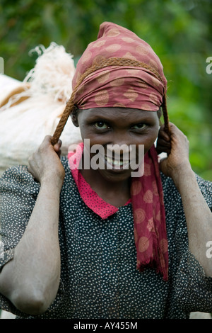 Africa Kenya Ruira MR Young woman carrying Arabica coffee beans during harvest at Socfinafs Oakland Estates plantation Stock Photo