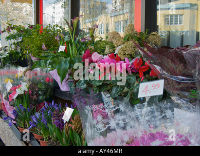 Corner flower shop in the West End of Vancouver British Columbia Canada Stock Photo