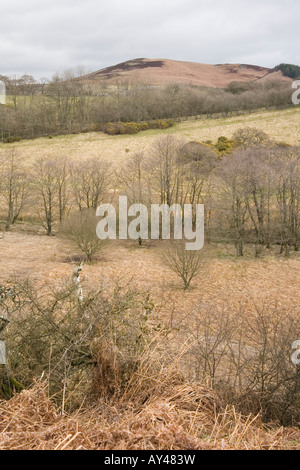 The rural landscape around the village of Glanton in Northumberland, England. Stock Photo