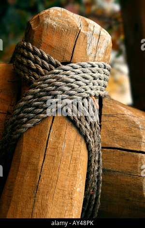 thick rope tied around a wooden stake in the forest Stock Photo