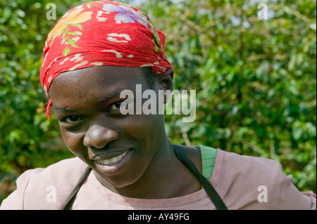 Africa Kenya Ruira MR Young woman works as coffee picker during harvest at Oakland Estates plantation Stock Photo