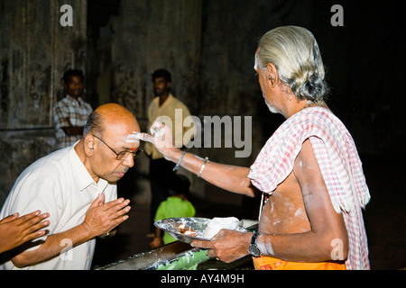 Brahmin applying a tikka to a man’s forehead, Meenakshi Temple, Madurai, Tamil Nadu, India Stock Photo