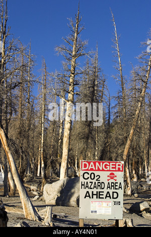 Toxic gas danger sign warning of hazard by natural carbon dioxide emission Horseshoe Lake Mammoth Eastern Sierra California USA Stock Photo