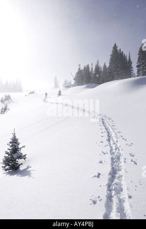Skier skinning up a snowy hill in Rocky Mountain National Park Stock Photo