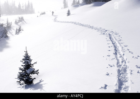 Skier skinning up a snowy hill in Rocky Mountain National Park Stock Photo