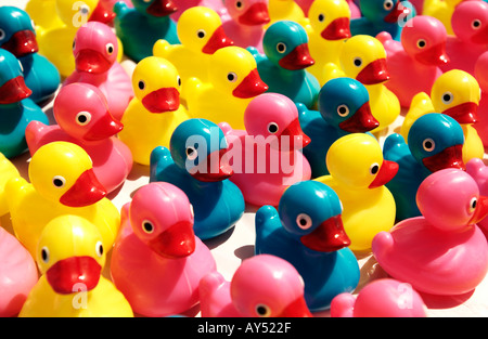 Colorful plastic ducks Stock Photo