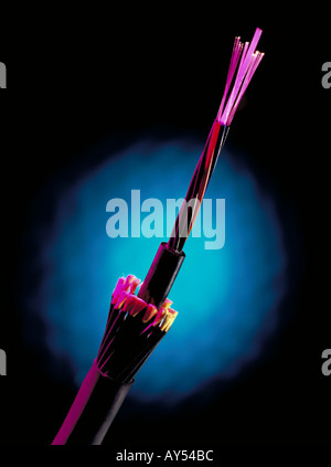 End of a fibre optic cable showing wiring detail Stock Photo