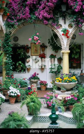 Cordoba May Patio contest festival Andalucia Andalusia Spain Flowers Galore Courtyard Stock Photo