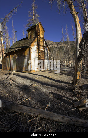 Cabin in tree kill area caused by natural carbon dioxide emission Horseshoe Lake Mammoth California USA Stock Photo