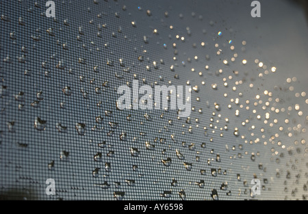 raindrops on window screen Stock Photo