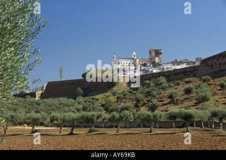Portugal the Alentejo, Estremoz, walled mediaeval city seen over olive groves Stock Photo
