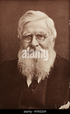 A portrait of Alfred Russel Wallace (1823 - 1913) British naturalist. Stock Photo