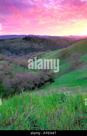 Green Valley in Springtime on Mount Diablo in Walnut Creek California Stock Photo