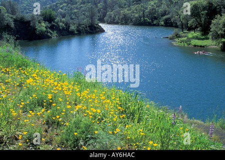 Lake Berryessa California with wildflowers in springtime Stock Photo