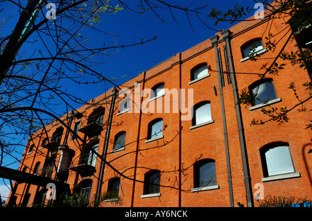Old Storage Buildings recycled in Puerto Madero, City of Buenos Aires, Argentina, South America Stock Photo