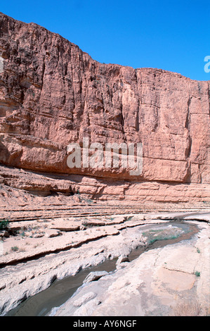 Tunisia The South Chott el Jerid Region Montain Oasis De Selja gorges The Red Lizard Stock Photo