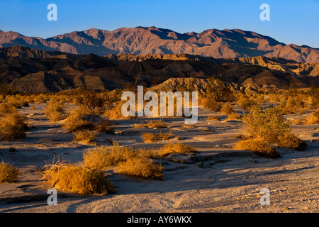 Last light over the desert of Anza Borrego Desert State Park in southern California along Mexican border Stock Photo